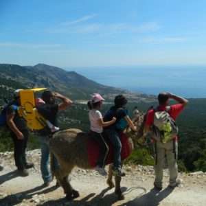 Idea regalo Escursione di mezza giornata con gli asini – Sardegna