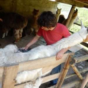 Idea regalo La giornata del piccolo contadino – Trentino