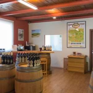 Idea regalo Museo del vino e degustazione per due – Castagnole Monferrato