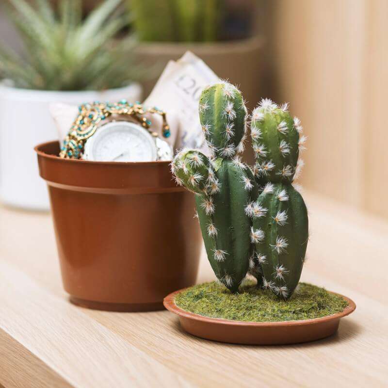Regalo Cactus con nascondiglio segreto - Idee Regalo