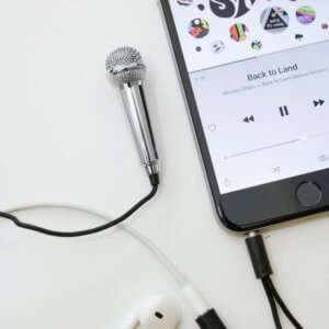 Idea regalo Mini microfono Karaoke per smartphone